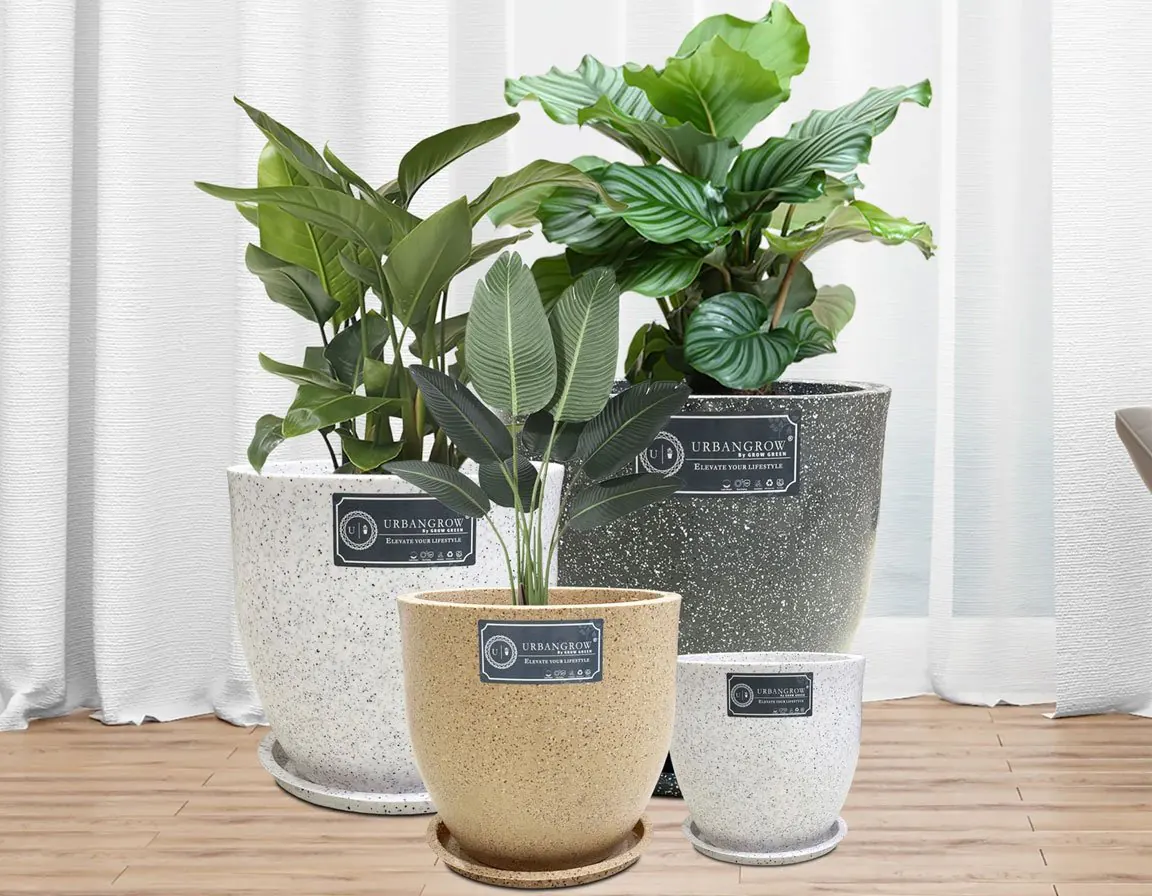 Aroma Pots  – Stylish Decorative Planters for Indoor & Outdoor Plants