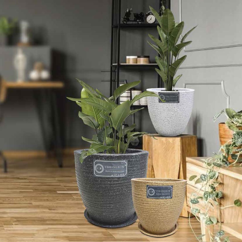 Oliver Pots