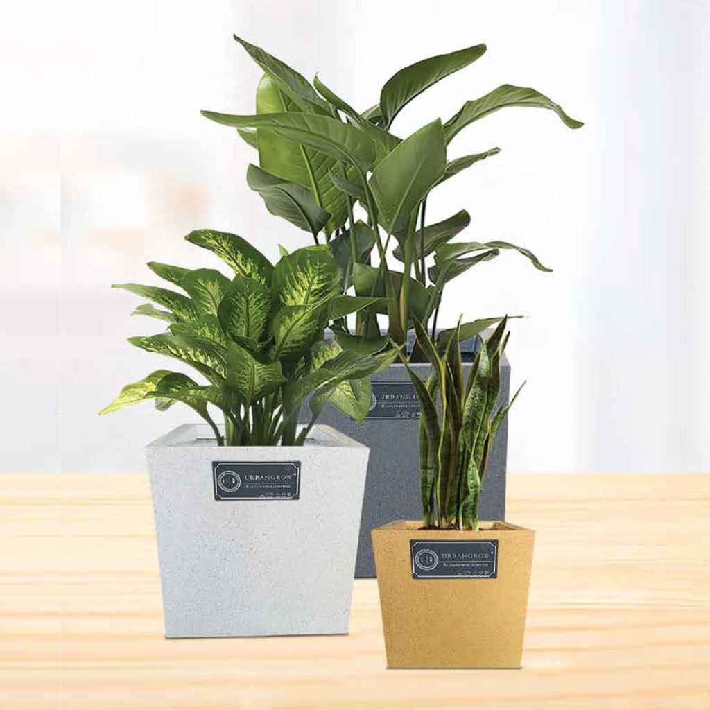 Cubicis Pots