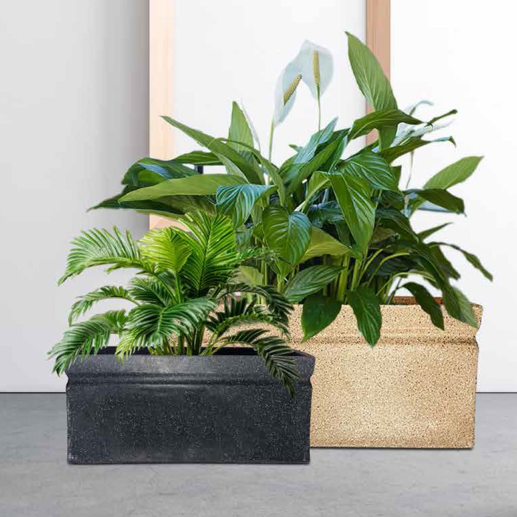 Lectus Pots