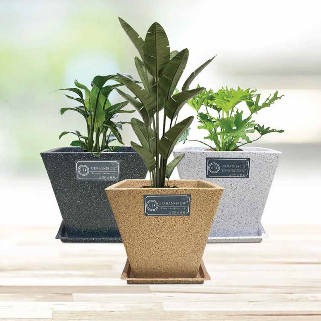 Palm Pots