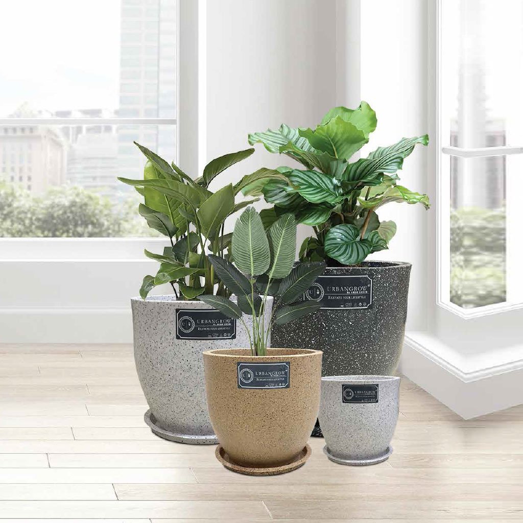 Aroma Pots