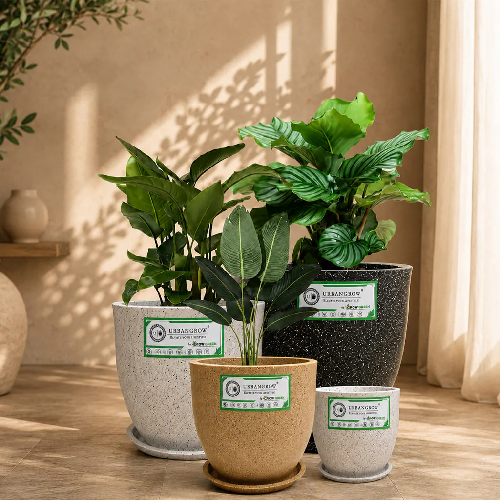 Aroma Pots planter by Urban Grow