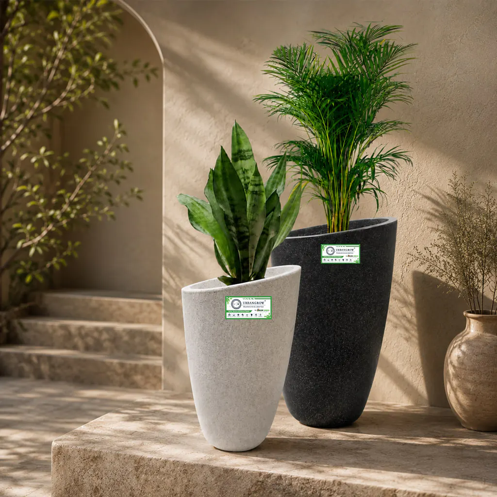 Calista Pots planter by Urban Grow
