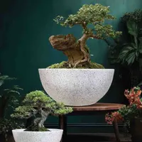 Crescent Pots view 2