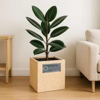 Cubicis Pots view 3
