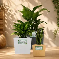 Cubicis Pots view 1