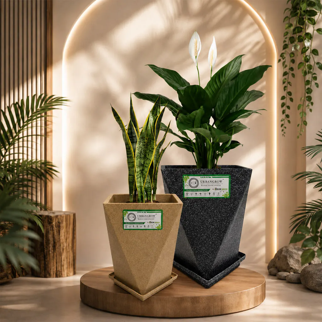Dura Pots planter by Urban Grow