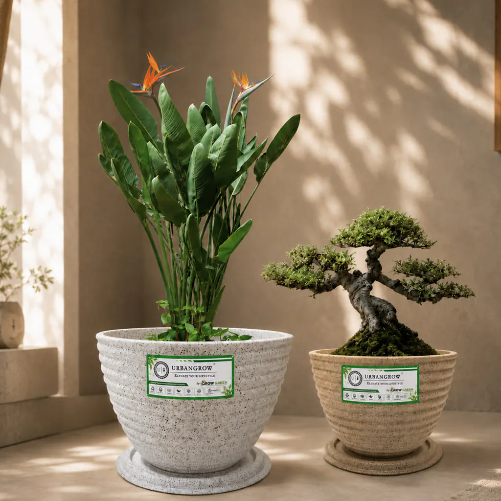 Floris Pots planter by Urban Grow