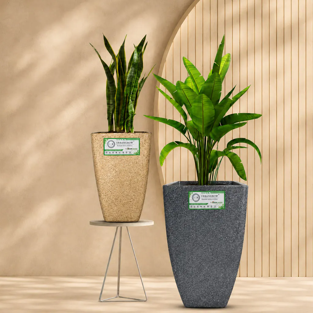 Grandeur Pots planter by Urban Grow