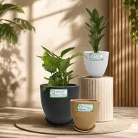 Oliver Pots view 1