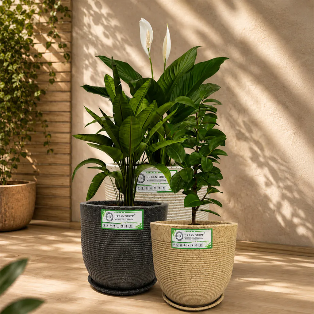 Orbit Pot planter by Urban Grow