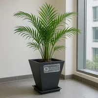 Palm Pots view 4