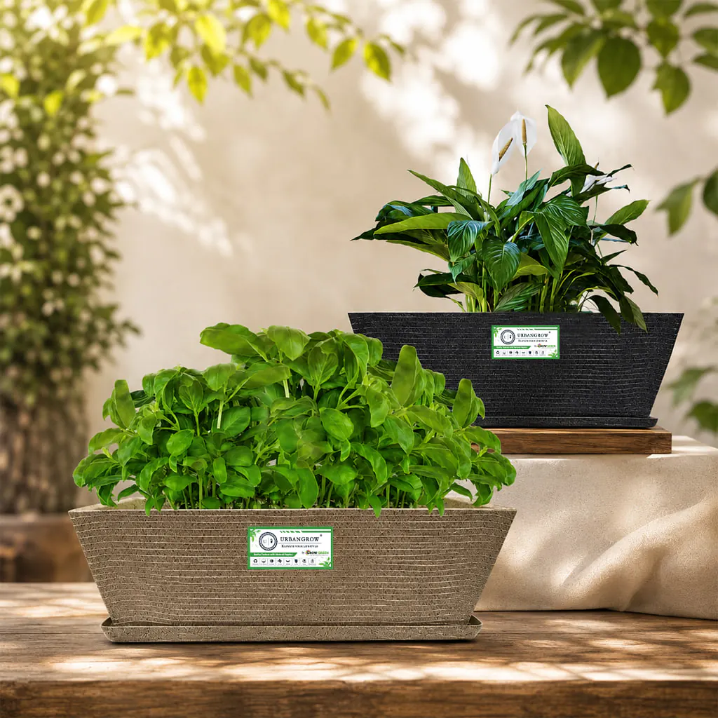 Recta Pots planter by Urban Grow