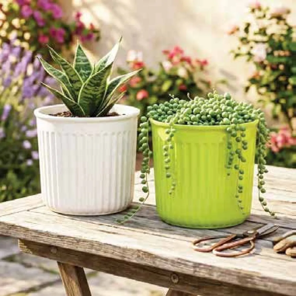 Regal Pots planter by Urban Grow