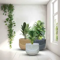 Ribis Pots view 1