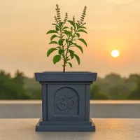 Tulsi Pots view 3